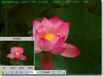 image FastStone MaxView 2.2