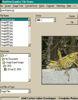 NewView Graphics File Viewer 7.5